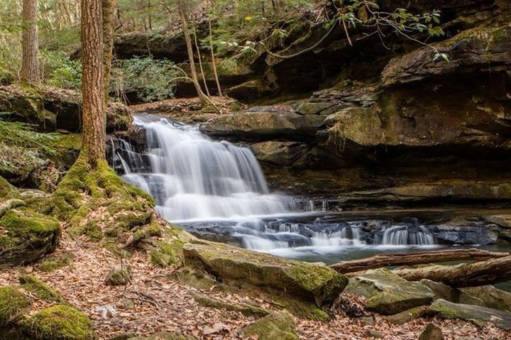 A waterfall in a forested area with moss-covered rocks and trees.