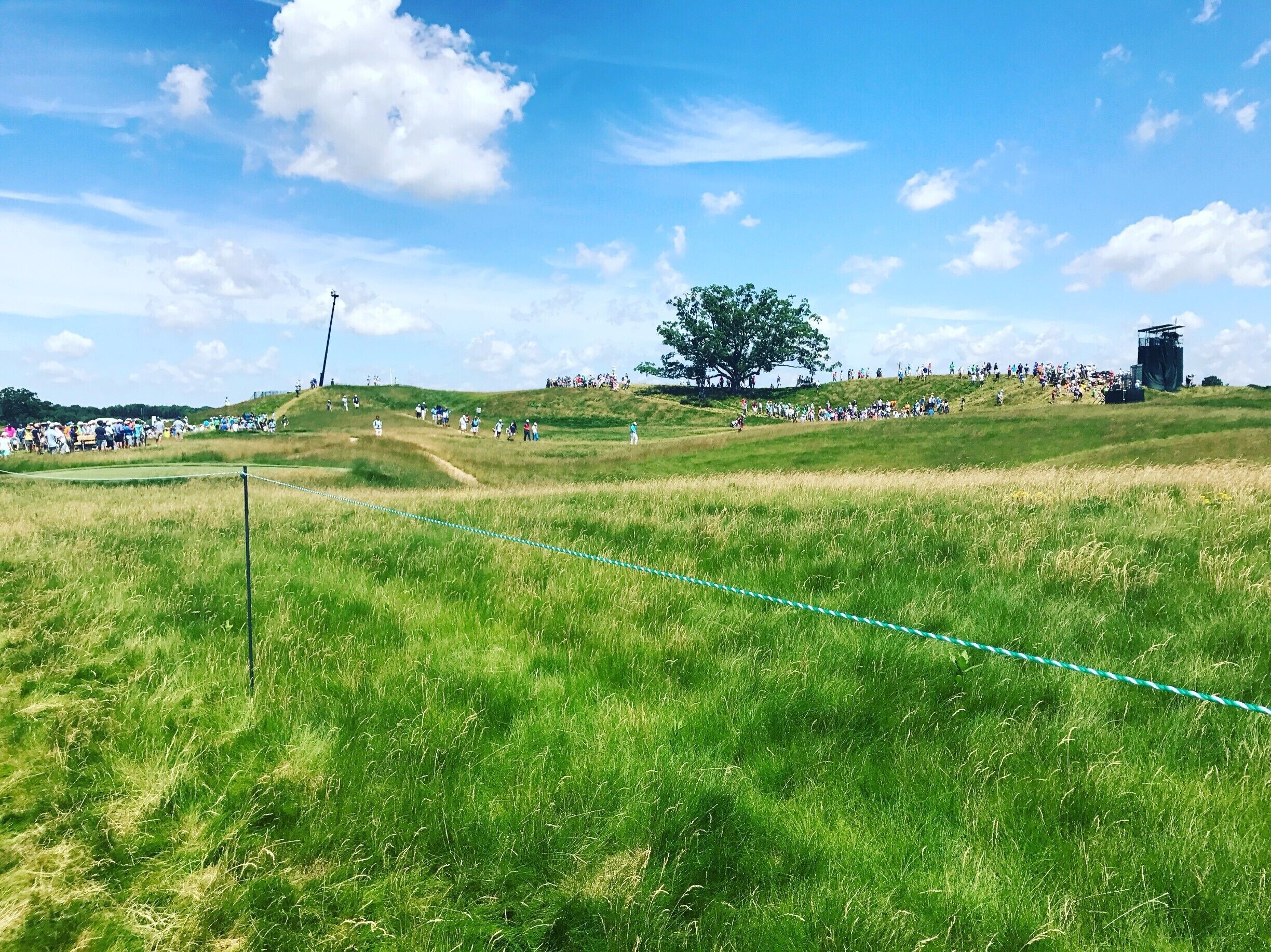 A grassy field with a blue rope fence, a large tree, and a hill with people gathered on top.