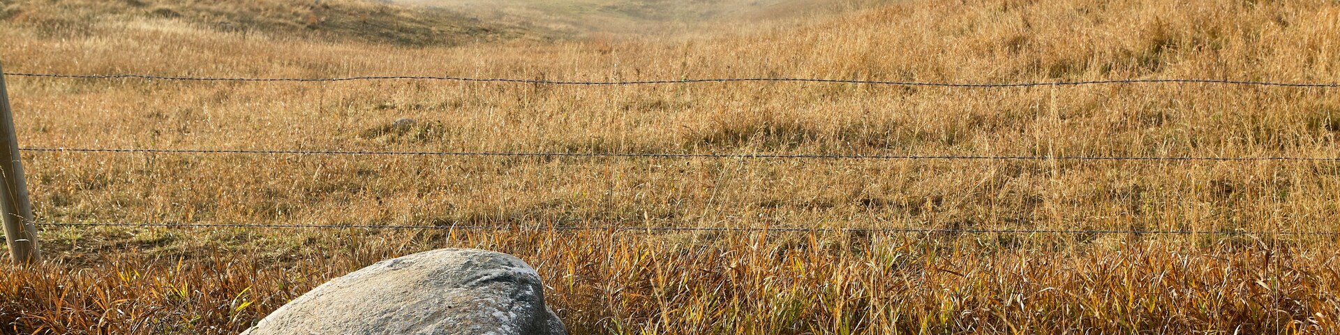 Scenic misty view of the Sheyenne River