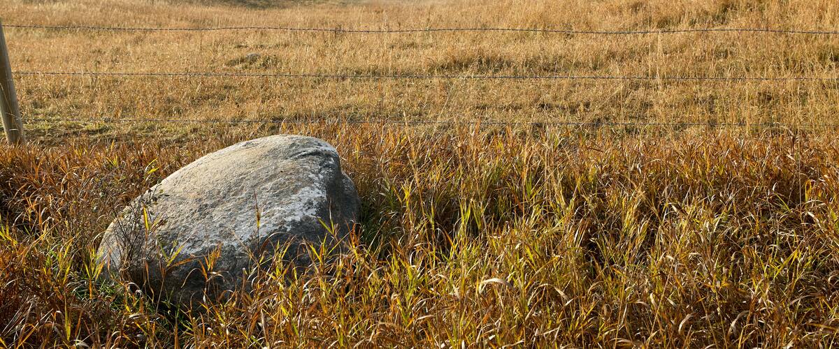 A grassy field with a large rock in the foreground and a river in the background.