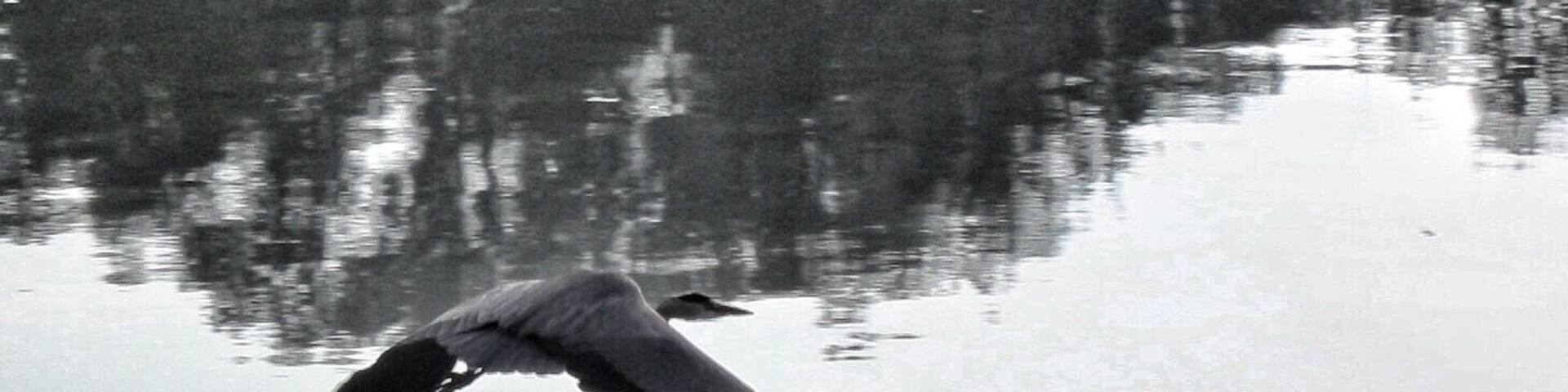 Little lake near my home .