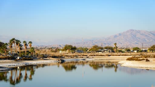 Salton Sea