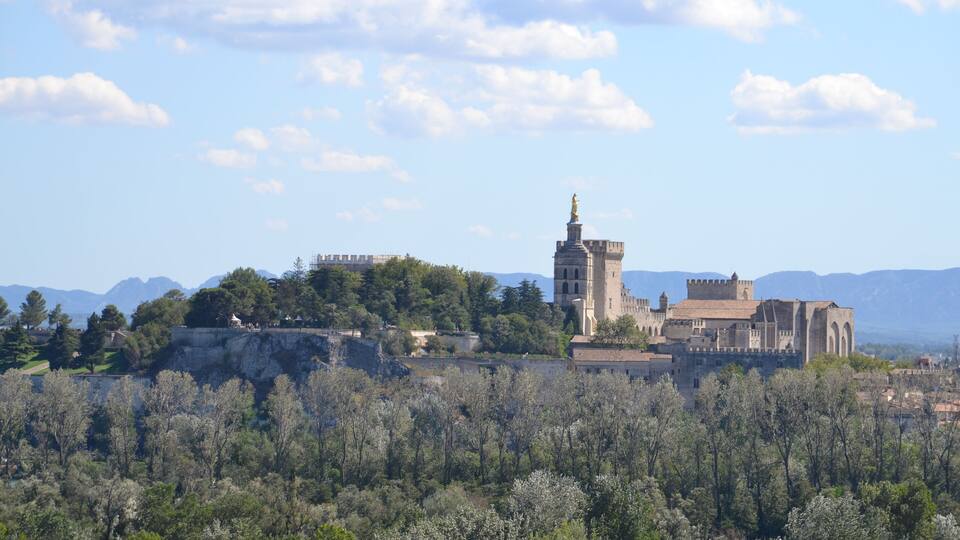 A historic castle on a hill with a tower, surrounded by trees and mountains in the background.