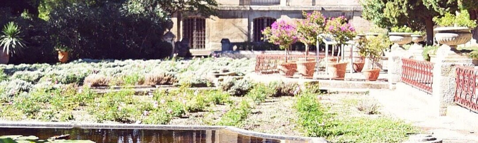 During our time in Avignon, we stayed just across the Rhône in Villenueve-lès-Avignon. The gardens inside Fort Saint-André (Jardins de l'Abbaye Saint-André) were peaceful and beautiful. It was late September so it wasn't as colorful as I imagine it could be but it was gorgeous nonetheless.
