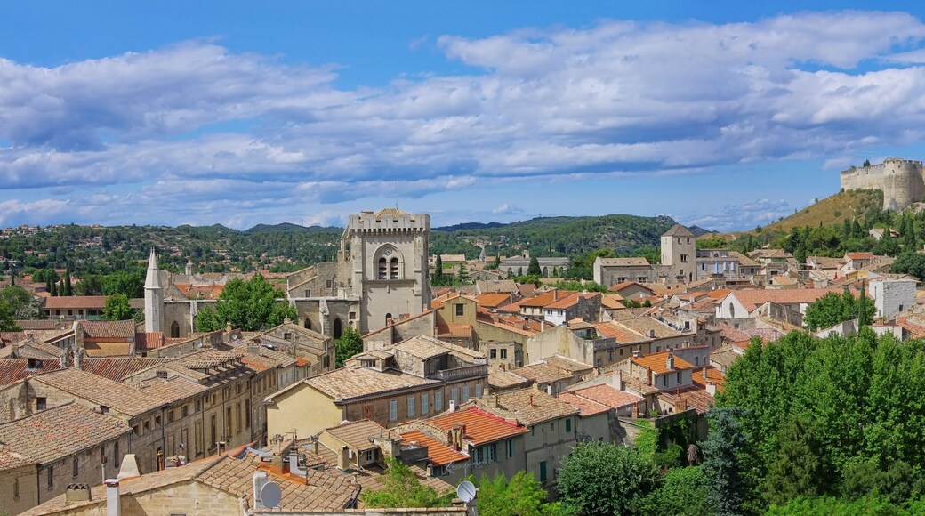 Villeneuve-les-Avignon