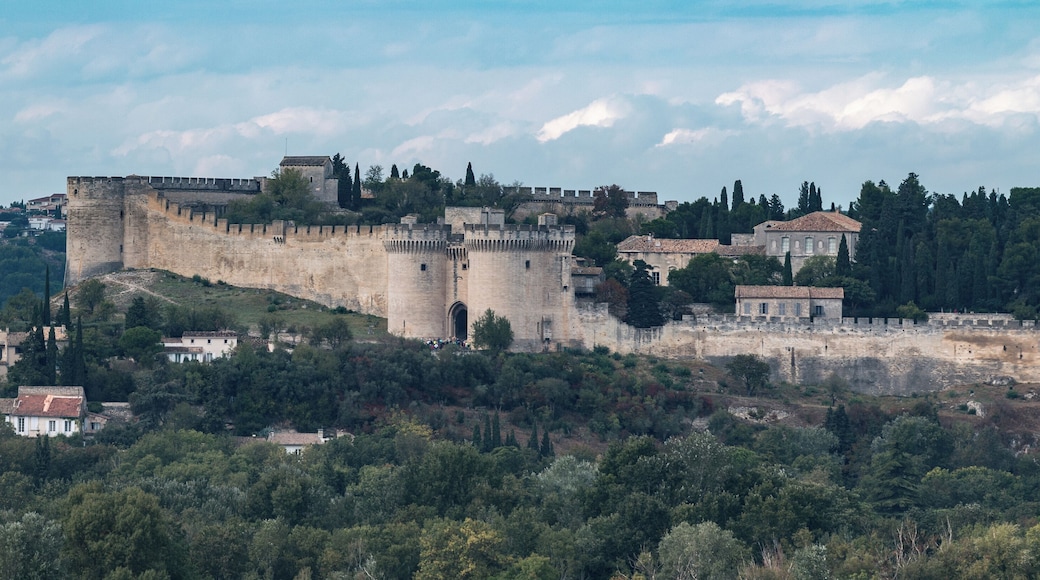 This building is classé au titre des Monuments Historiques. It is indexed in the Base Mérimée, a database of architectural heritage maintained by the French Ministry of Culture, under the reference PA00103306 .