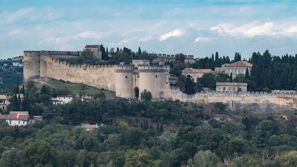 A historic castle on a hill with surrounding houses and trees.