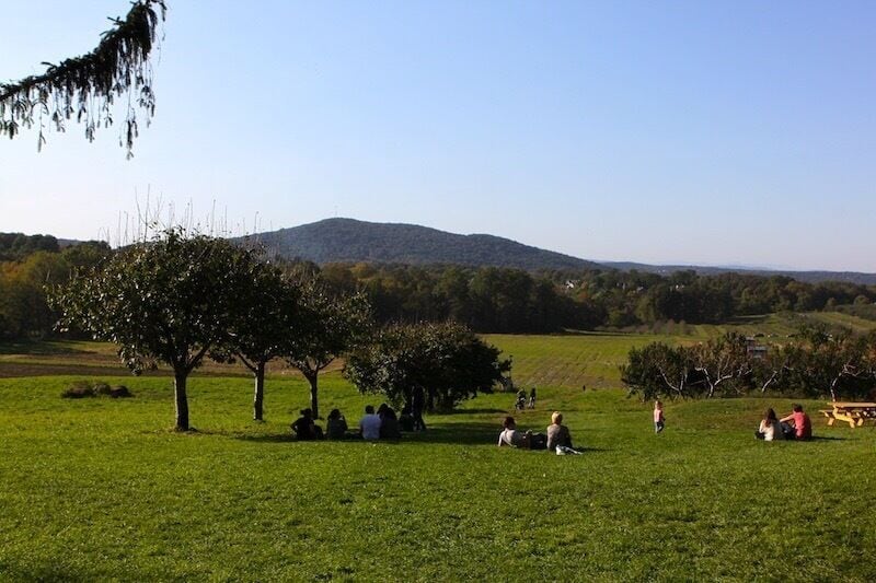 a great autumn weekend getaway from the city - apple-picking, pumpkin-picking, grilling, and more... #weekendgetaway #newyorkstate #appleorchard #nature #getaway #farm