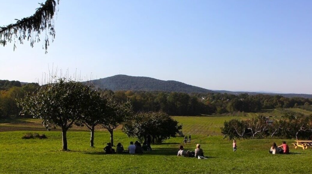 a great autumn weekend getaway from the city - apple-picking, pumpkin-picking, grilling, and more... #weekendgetaway #newyorkstate #appleorchard #nature #getaway #farm