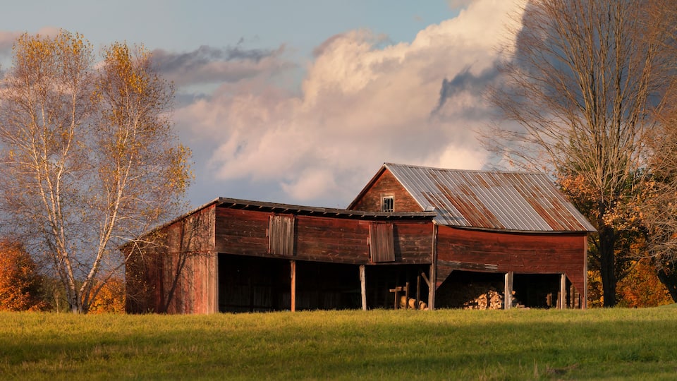 A rustic barn with a metal roof, surrounded by autumn-colored trees and a grassy field.