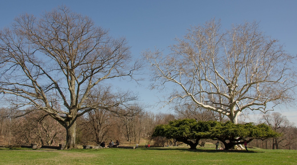 Hudson valley, NY 1