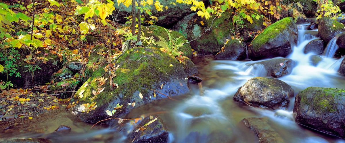 USA, New York, Catskill Mountains. A stream cascades through the forest in the Catskill Mountains in New York.