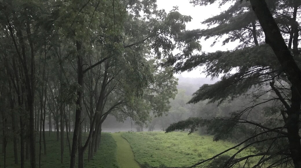 A sudden simmer thunderstorm... it had been sunny and hot just a couple of hours earlier.