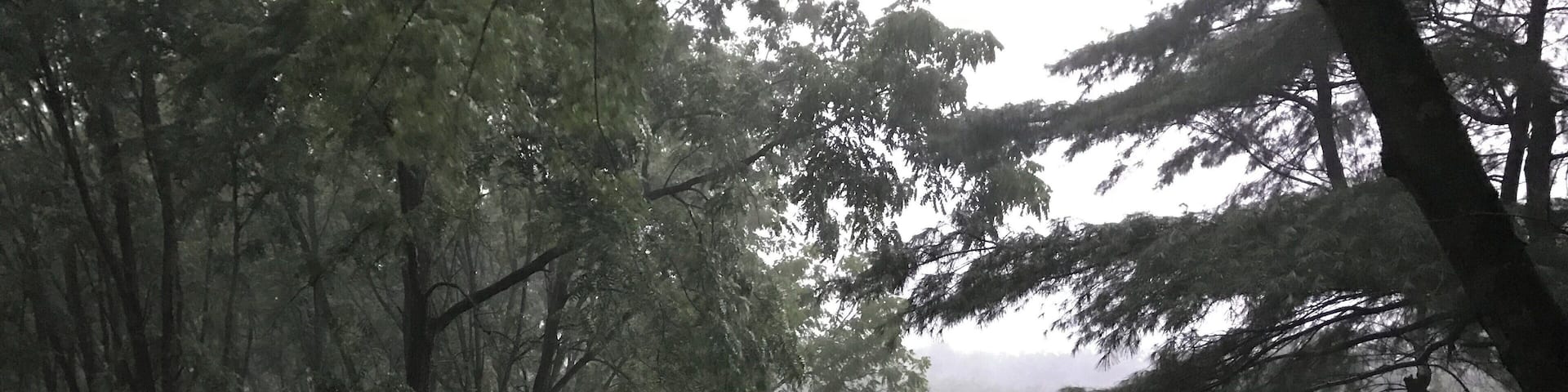 A sudden simmer thunderstorm... it had been sunny and hot just a couple of hours earlier.