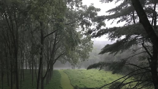 A sudden simmer thunderstorm... it had been sunny and hot just a couple of hours earlier.