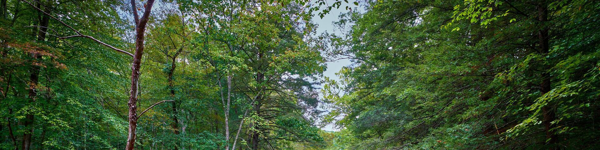 War Fork Creek located near Turkey Foot Campground in Jackson County, KY.