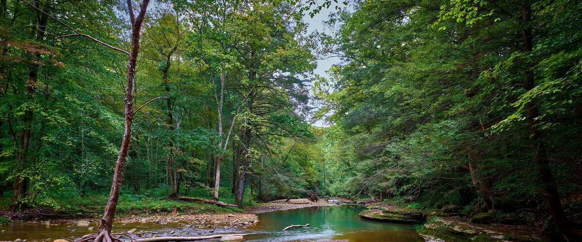 War Fork Creek located near Turkey Foot Campground in Jackson County, KY.