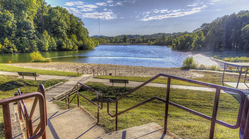 Stairway to Lake Boutin. Steps leading from the parking lot to the lake with multiple landings and guardrails makes for an interesting display of geometric shapes.