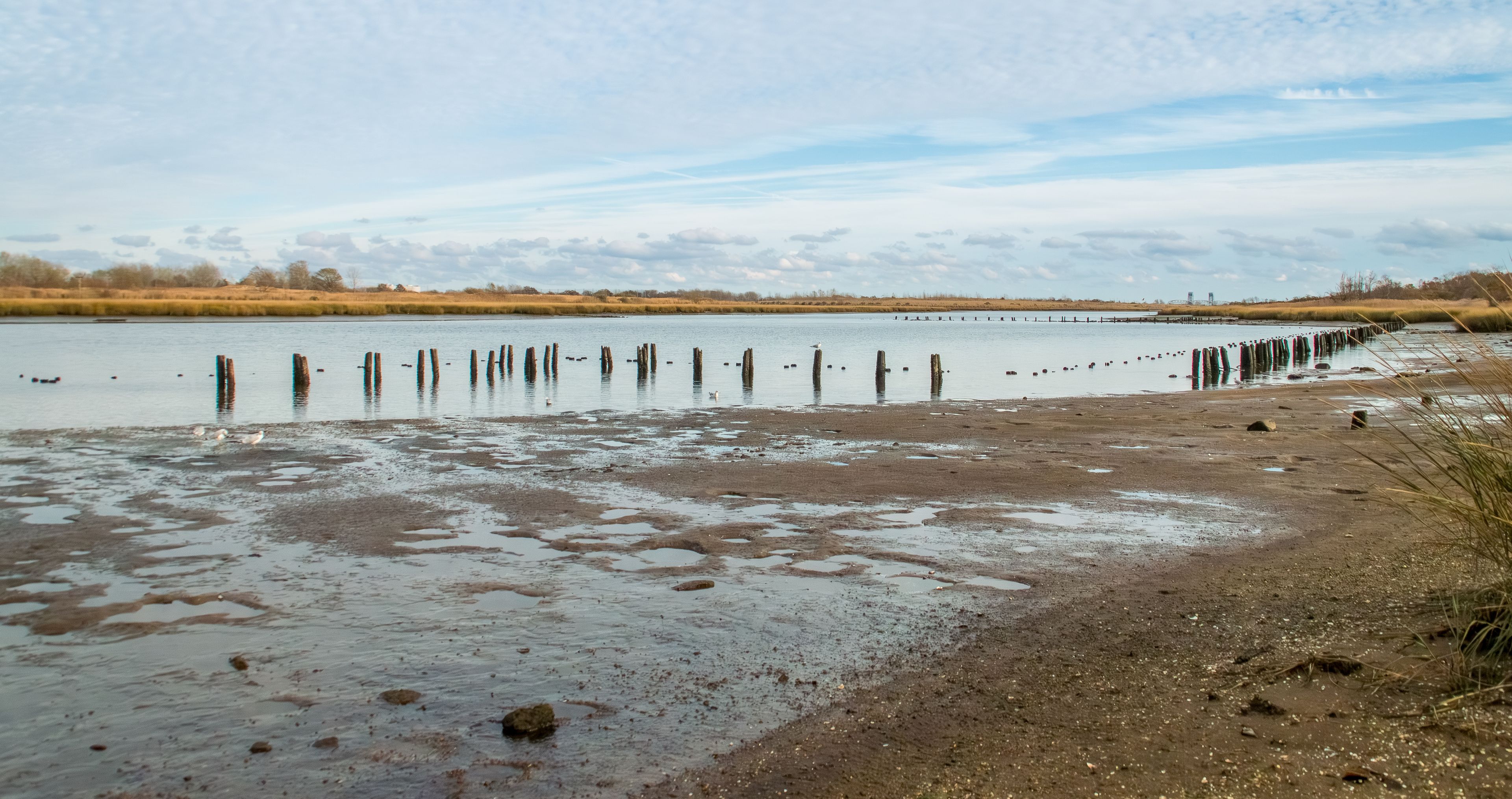 Pilotes de madera semisumergidos en el paisaje de marismas de Long Island, Nueva York, EE. UU. Marine Park Salt Marsh en Jamaica Bay, junto a la Avenida U, en las afueras de Brooklyn.