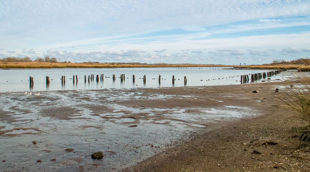 Pilotes de madera semisumergidos en el paisaje de marismas de Long Island, Nueva York, EE. UU. Marine Park Salt Marsh en Jamaica Bay, junto a la Avenida U, en las afueras de Brooklyn.