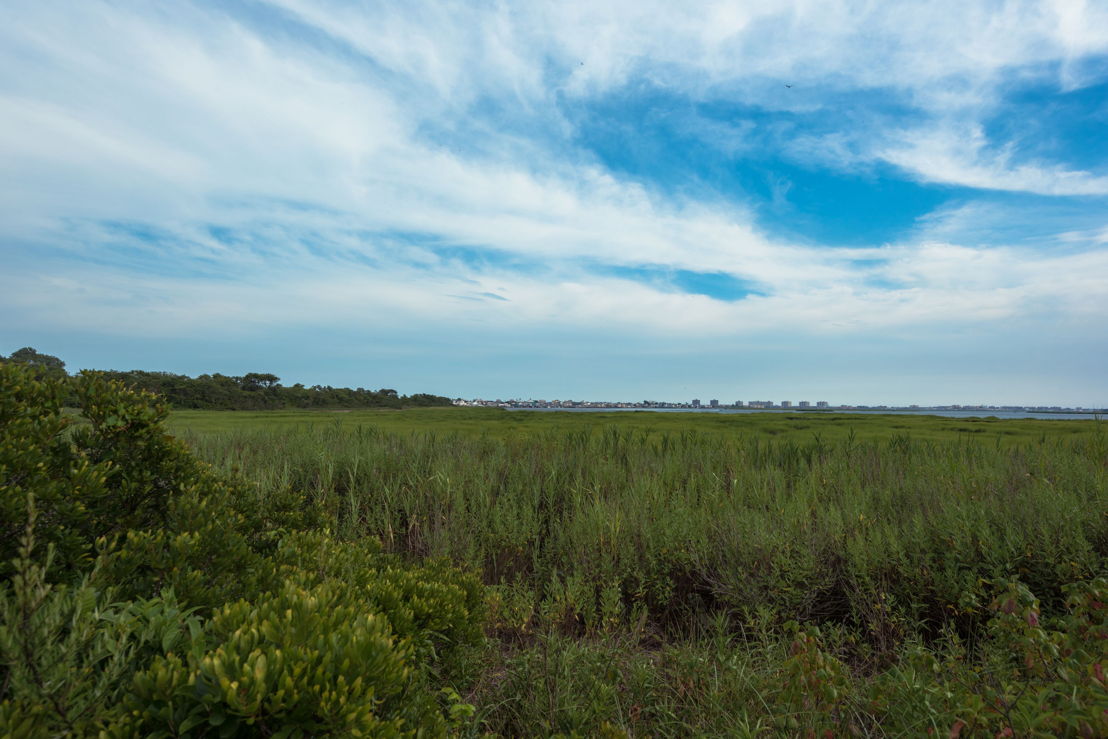 Jamaica Bay Views