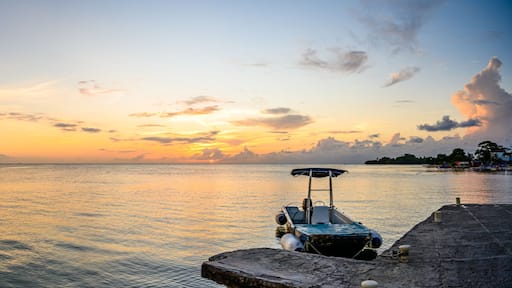 Jamaica