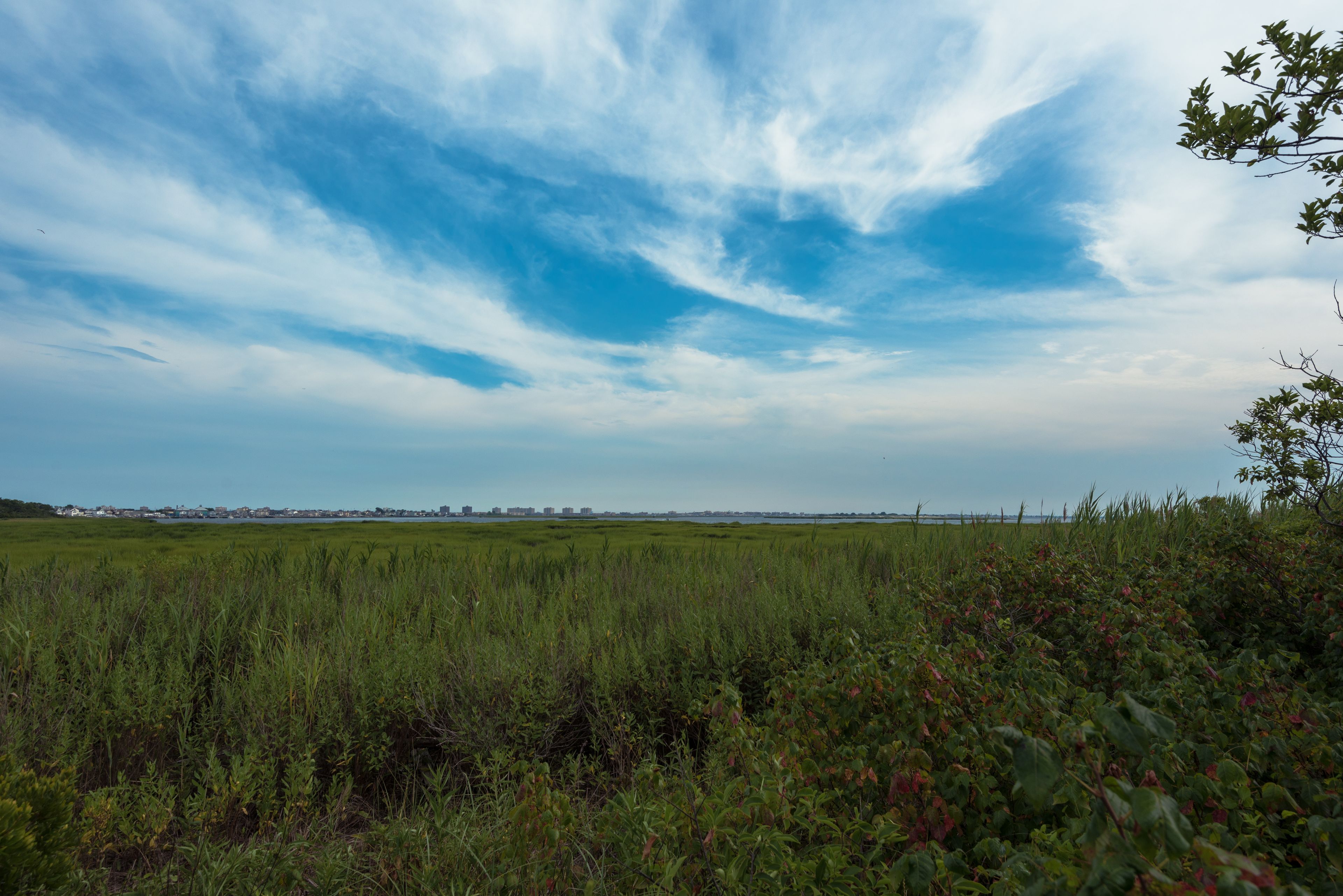 Jamaica Bay Views