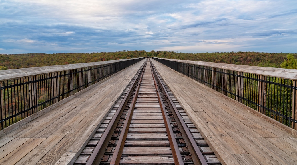 Skywalk At The Kinzua Bridge State Park in Pennsylvania
