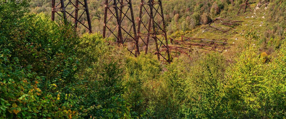 A large metal bridge spanning a valley with dense forest and hills in the background.