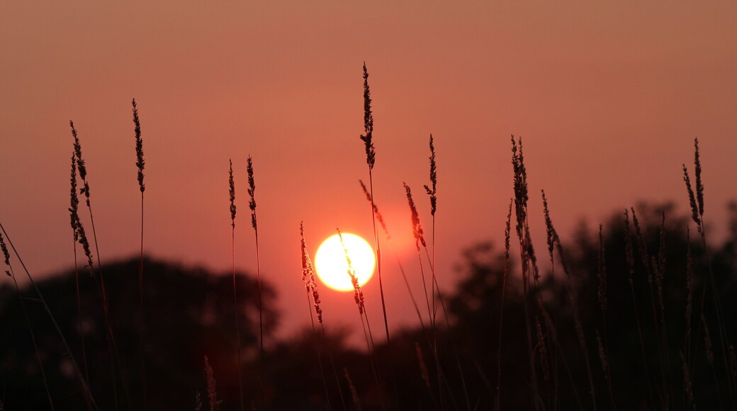 Sunset behind the grass. This was during the massive wildfires out west in the summer of 2018. Canon Rebel T6 and 70-300mm lens.