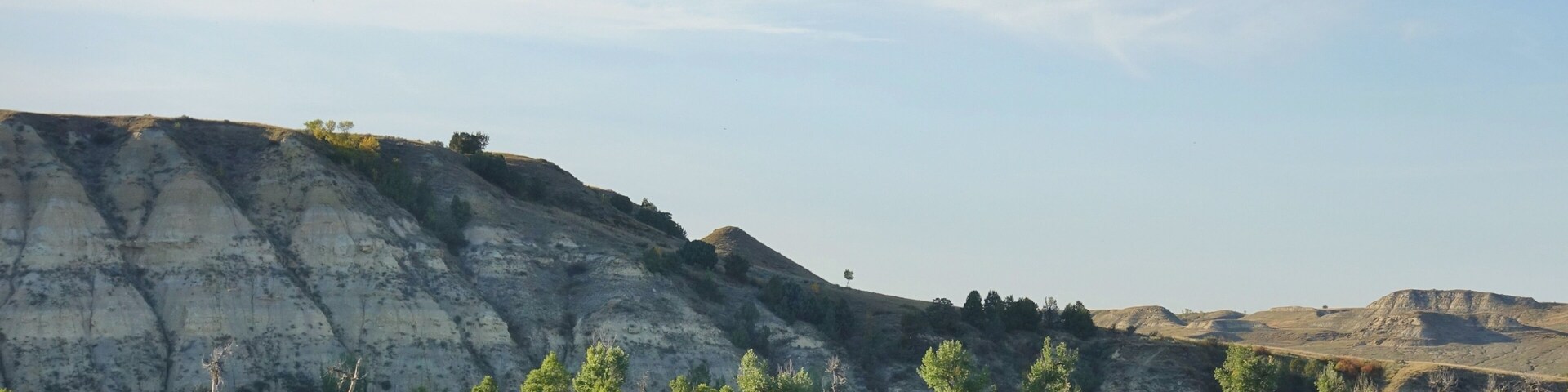 View of wild bisons in the Theodore Roosevelt National Park in badlands in North Dakota, United States
