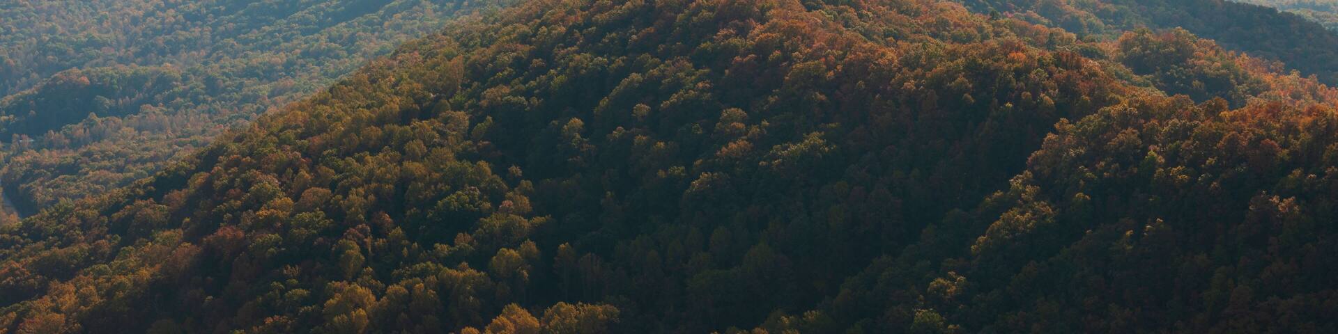 Hazy Morning Overlook at Cumberland Gap National Historical Park