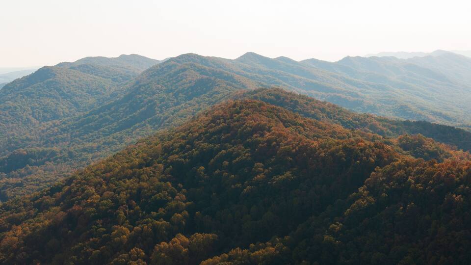 A mountainous landscape with dense forests and rolling hills.