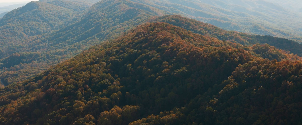 A mountainous landscape with dense forests and rolling hills.