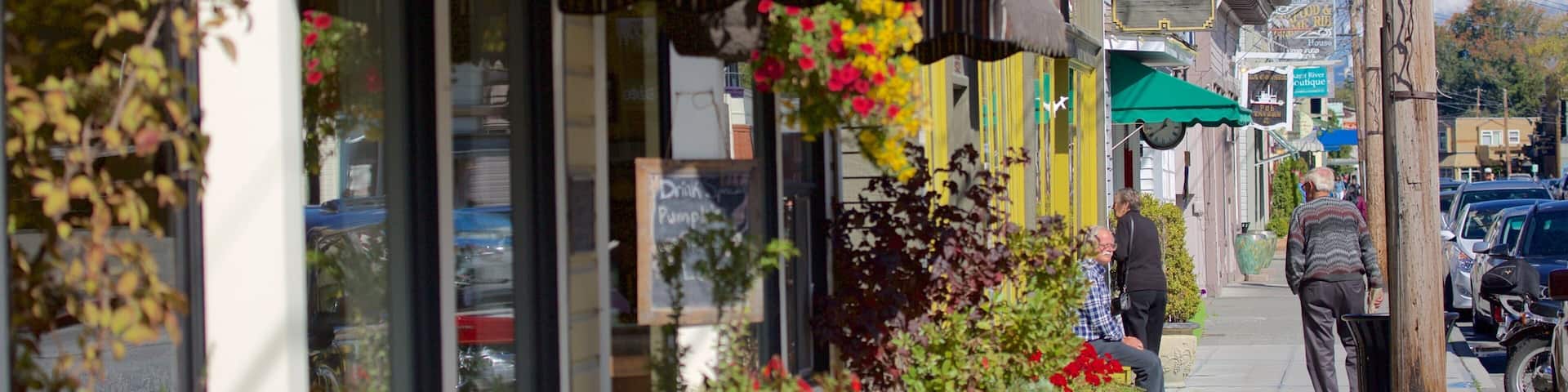 La Conner showing street scenes