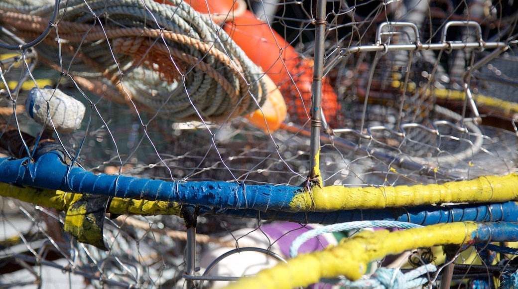 La Conner showing fishing