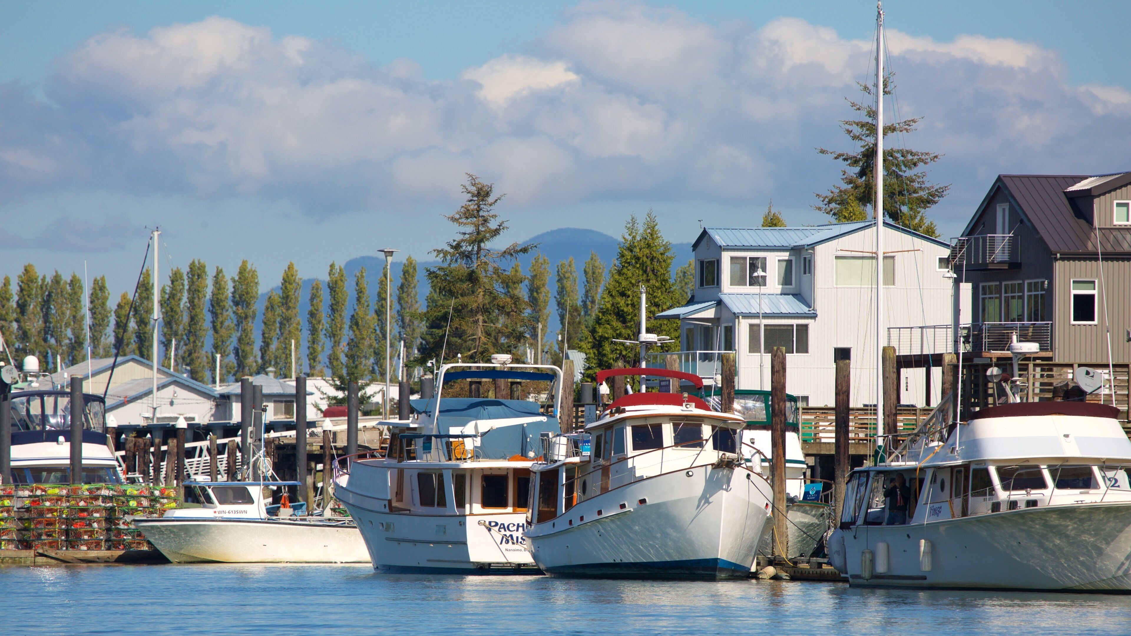 A marina with several boats docked, surrounded by houses and tall trees.