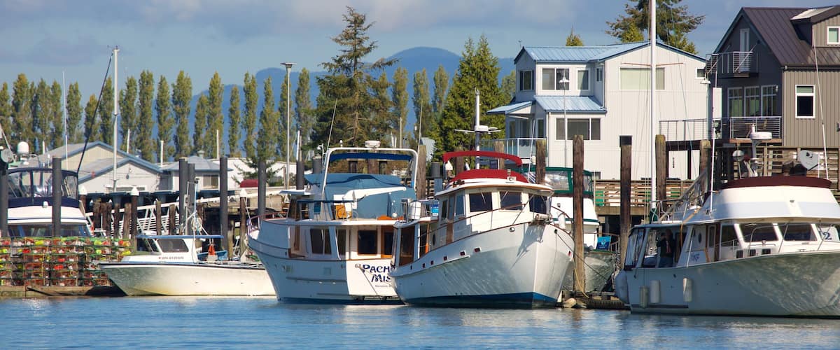 A marina with several boats docked, surrounded by houses and tall trees.