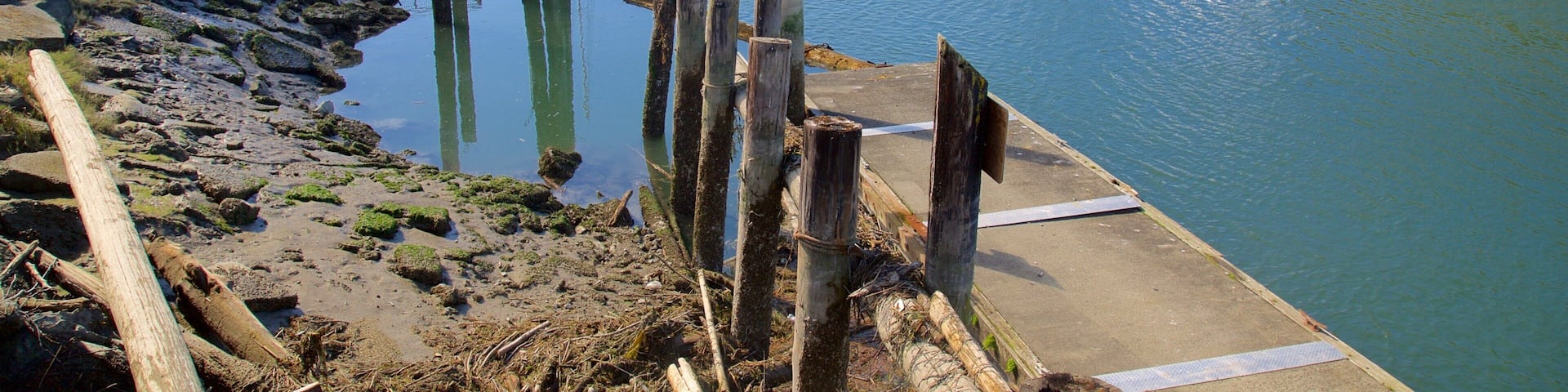 La Conner showing a bridge, a bay or harbour and forest scenes