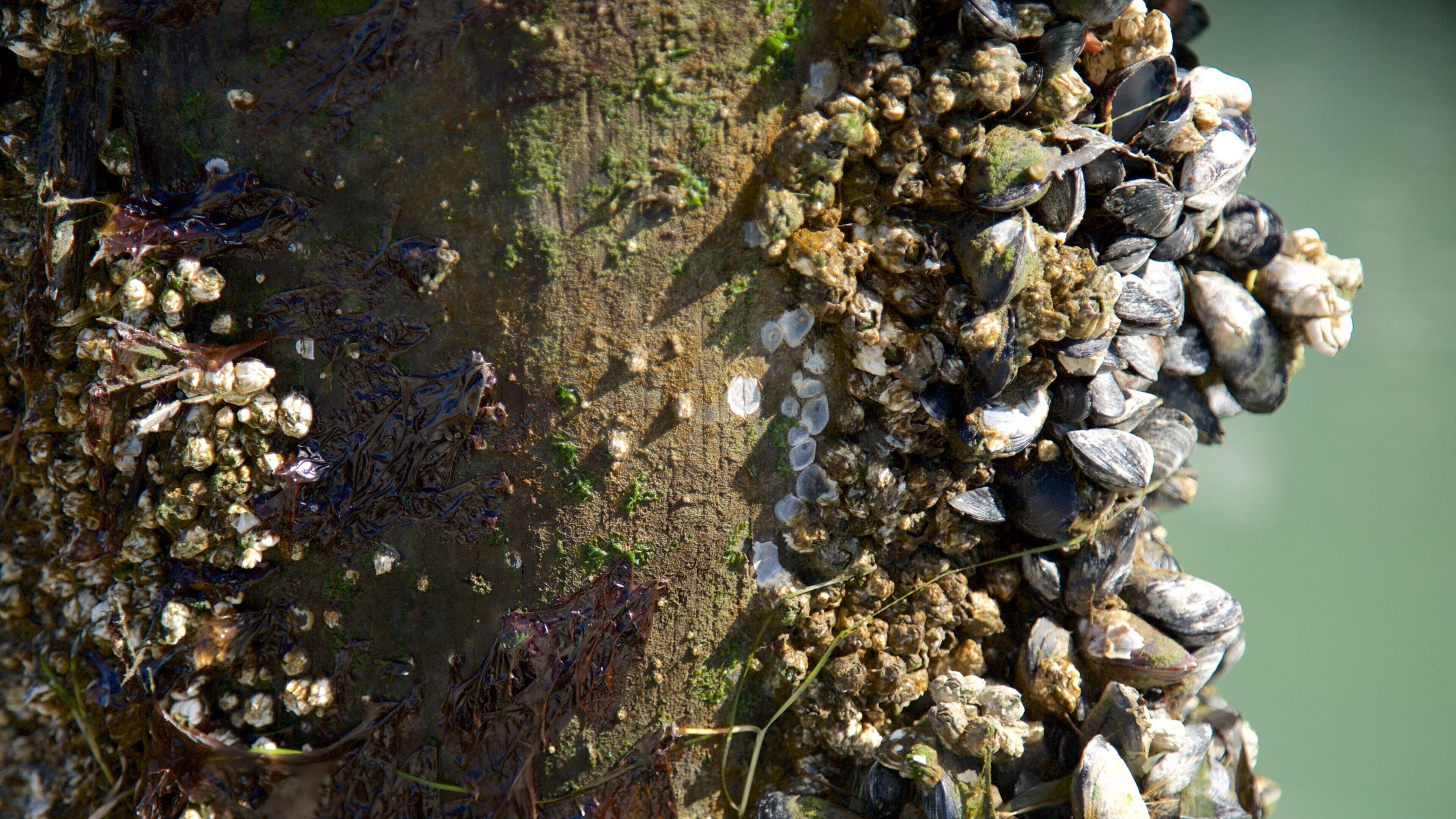 <h2>Top places to stay near the water</h2>