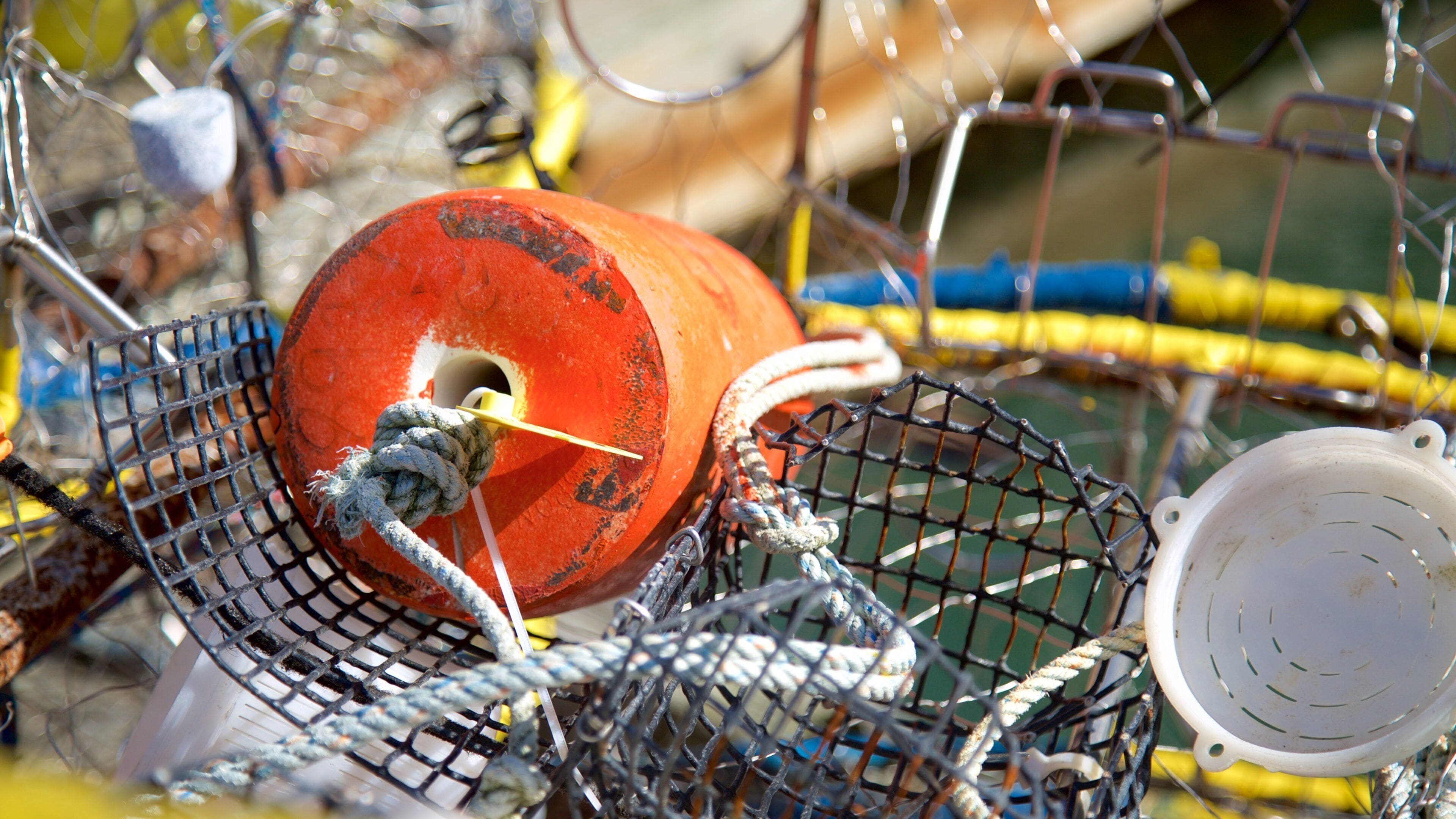 <h2>Top places to stay near the water</h2>