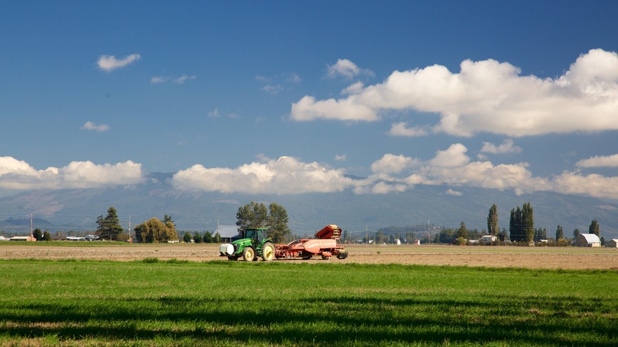 Ein grüner Traktor auf einem Feld, im Hintergrund ein Gebirge.