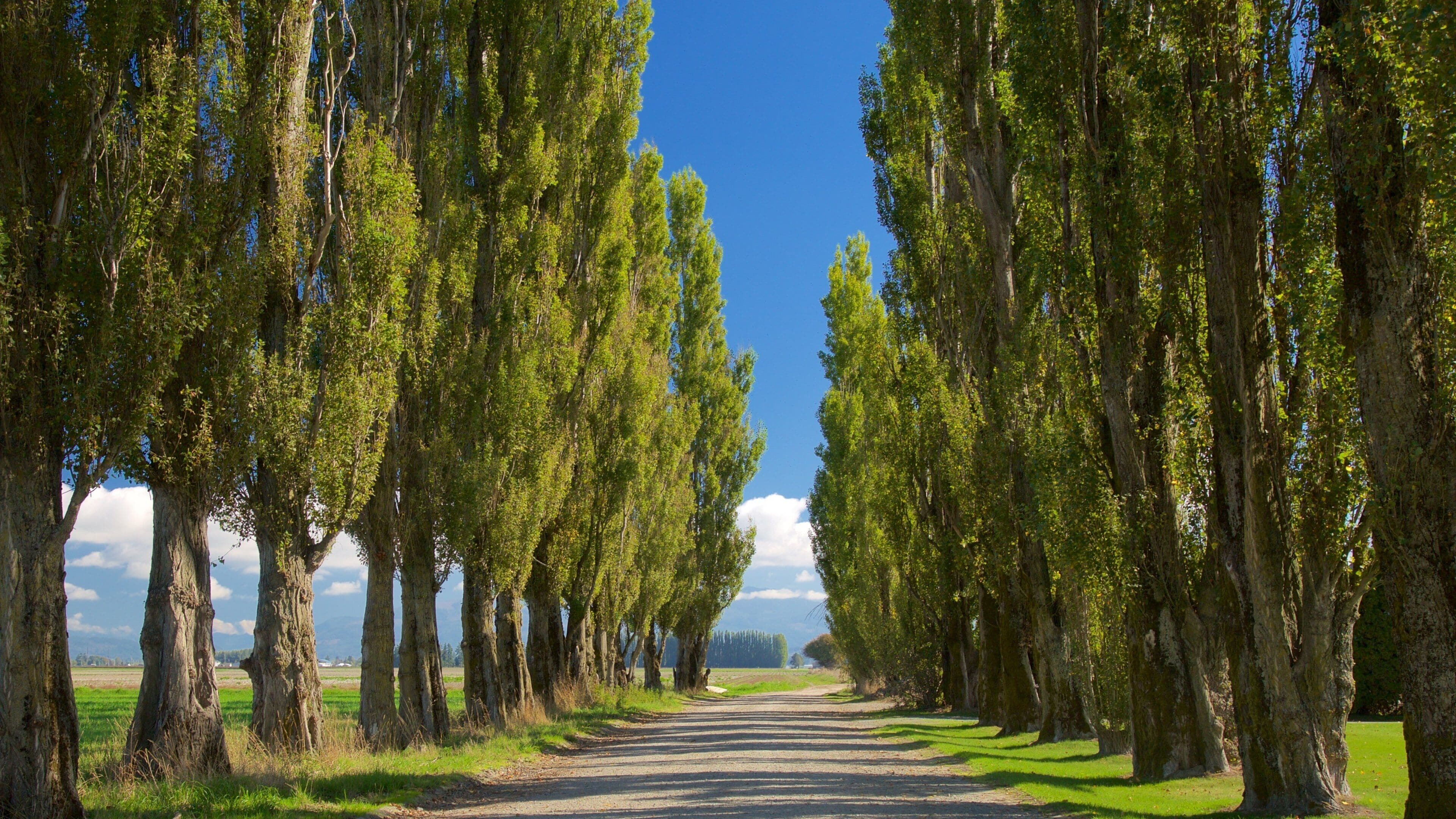 La Conner trong đó bao gồm cảnh thanh bình