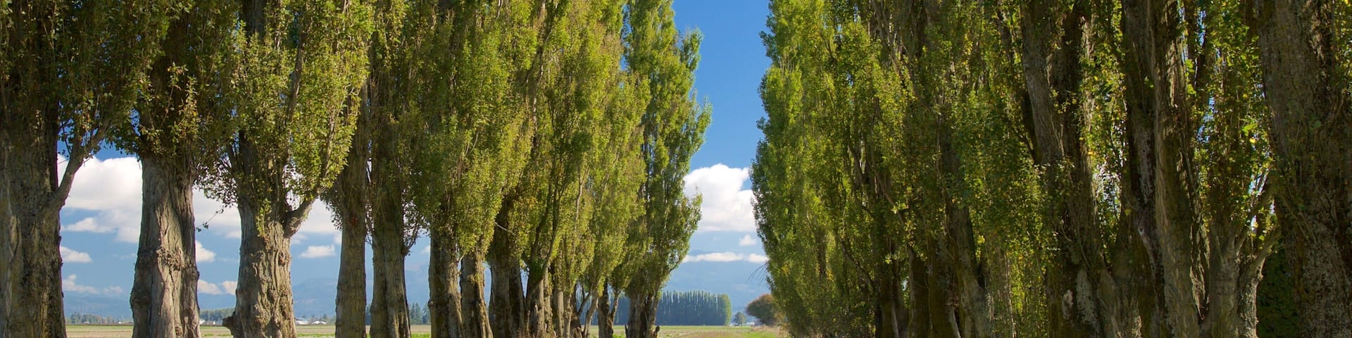 La Conner featuring tranquil scenes