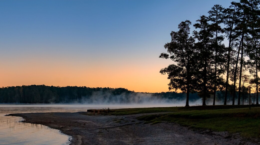 Early Morning Fog on Clarke's Hill Lake at Mistletoe State Park, Georgia