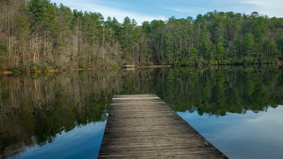 A wooden pier extending into calm waters, surrounded by dense forest.
