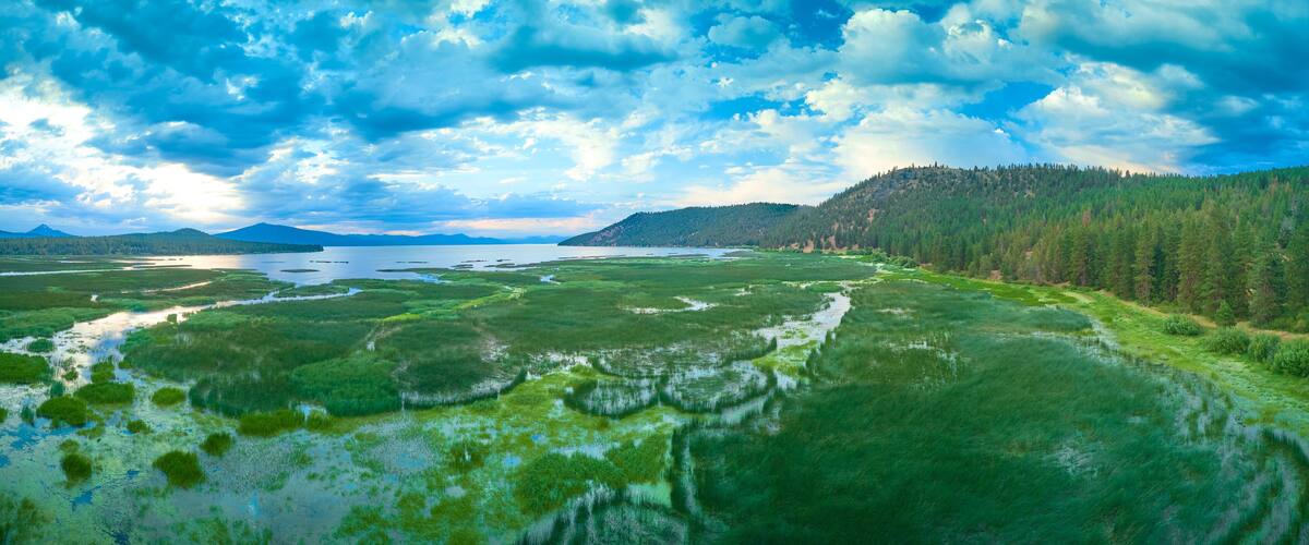 A vast wetland with water channels, surrounded by dense forests and distant mountains under a partly cloudy sky.