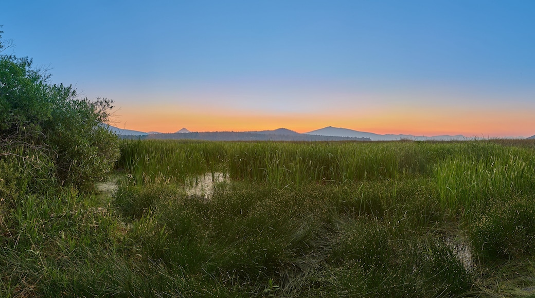 Panorama of Klamath Lake from Eagle Ridge County Park, Oregon.