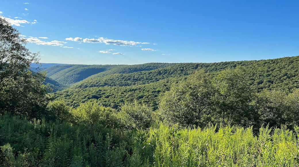 Two Rock Run Vista overlook at Burns Run Wild Area in Sproul State Forest, Pennsylvania.