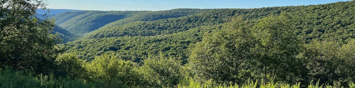 Two Rock Run Vista overlook at Burns Run Wild Area in Sproul State Forest, Pennsylvania.